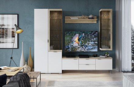 Шкаф тумба 2 двери и 2 ящика ШК-3024 Анима   