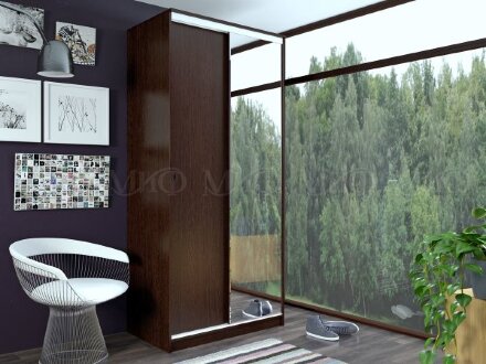 Шкаф-купе 1 метр Альянс 