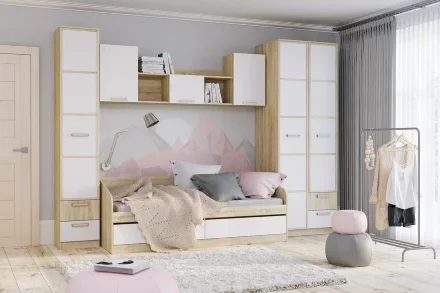 Шкаф для одежды с ящиками Фанк НМ 013.02-03 М1 