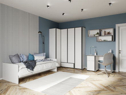 Пенал закрытый Асцелла 