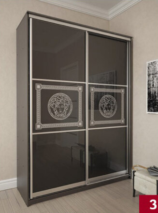 Шкаф-купе Премиум 13 