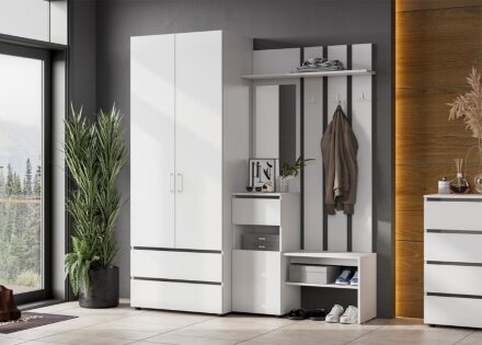 Шкаф двухстворчатый с двумя ящиками Токио 